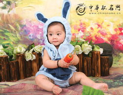 宝宝取名：兔宝宝小姑爷取名怎么取（兔宝宝小姑爷取名怎么取好听）