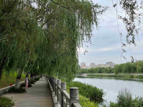 今日运势：今日气象运势查询最新（今日气象分布图）