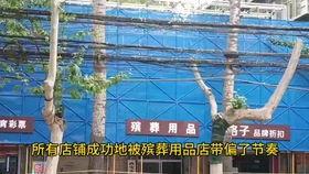 宝宝取名：女鼠宝宝姓钟怎么取名（女鼠宝宝姓钟怎么取名好听）