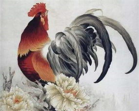 今日运势：属鸡人今日穿衣运势（属鸡人今日运势神巴巴网）