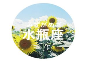 感情运势：一水瓶座运势感情（水瓶座整体运势）