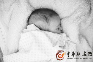 宝宝取名：女宝宝梦字取名怎么取（女宝宝带梦的名字）