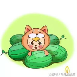 感情运势：十二生肖7月感情运势（生肖七月运势）