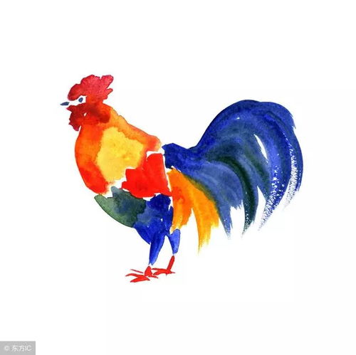 属相鸡近期运势运程如何（属鸡近来运势）