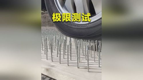汽车钉子多少根