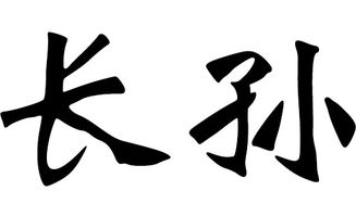 宝宝取名：虎宝宝取名孙姓怎么取（姓孙虎宝宝洋气名字）