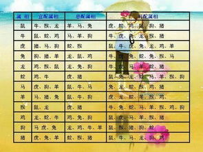 八字合婚：狗和鸡生辰八字合不合婚（狗和鸡的生肖婚姻般配吗）