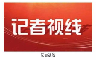 今日运势：山哥今日运势播报（山哥今日运势播报图）