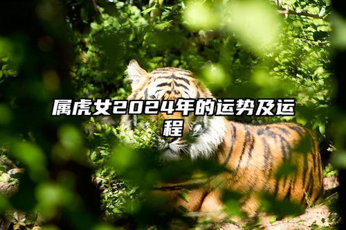 今日运势：虎今日的感情运势（今日属虎的感情运势）