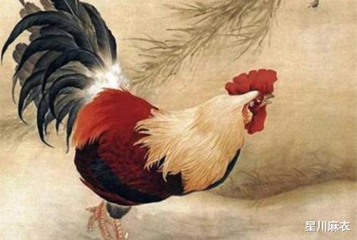今日运势：属鸡今日23日运势（属鸡今日23日运势及运程）