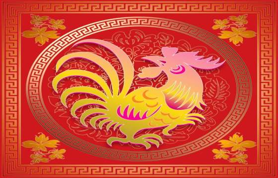 今日运势：生肖鸡今日运势简介（生肖鸡今日运势简介图片）