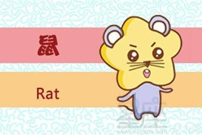 今日运势：生肖鼠女生今日运势（鼠女今日运程）