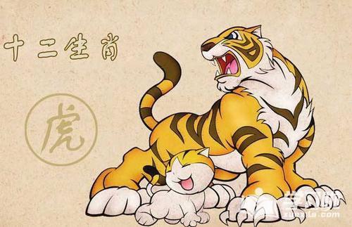 感情运势：属虎74年感情运势如何（1974年属虎爱情）
