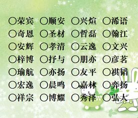 宝宝取名：姓张取名龙宝宝男孩怎么取（姓张龙字辈怎么取名男孩）