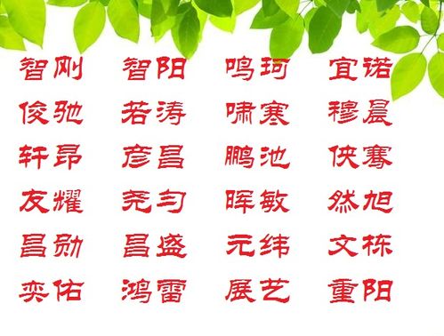 宝宝取名：宝宝取名天津怎么取的名字（天津名字好听）
