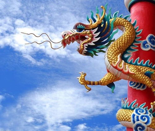 八字合婚：属龙人的八字合不合婚姻（属龙人的八字合不合婚姻呢）