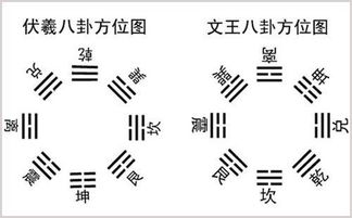 感情运势：兑金巽木感情运势如何（兑卦属金什么意思）