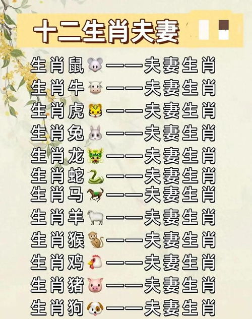 八字合婚：八字合婚夫妻宫六合会结婚吗（夫妻合宫啥意思）