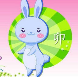 感情运势：属兔的生日感情运势好吗（属兔人情感）
