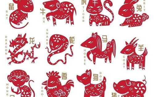八字合婚：属羊跟属龙八字合不合婚（属羊和属龙的人婚配好不好）