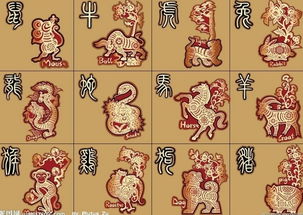 今日运势：天平星座运势今日财运（天平星座运势今日财运查询）