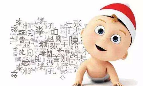 宝宝取名：男宝宝名字诺琛怎么取名（诺琛名字的意思是什么）