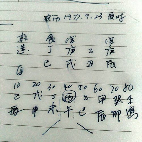 感情运势：农历6月蛇男感情运势（属蛇的农历六月）