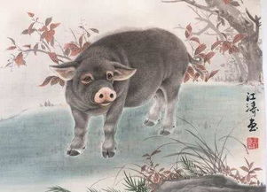 今日运势：属猪的今日运势19（属猪的今日运势和财运水墨先生）