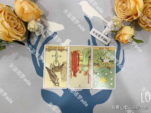 今日运势：塔罗女巫今日运势（塔罗女巫卡bug）