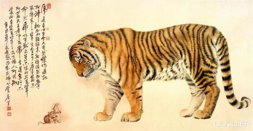 感情运势：虎宝宝八月感情运势（虎宝宝八月感情运势好吗）