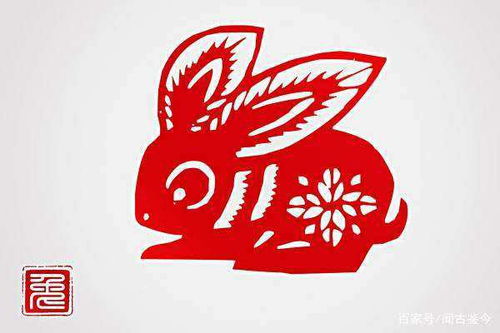 八字合婚：虎跟猪八字合不合婚姻呢（虎跟猪八字合不合婚姻呢女）
