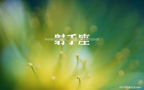 感情运势：已婚射手座感情运势如何（已婚射手座2021年感情运势）