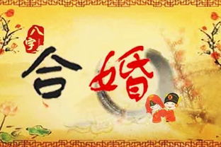 八字合婚：买一本合婚批八字书（结婚合八字多少钱）