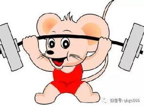 今日运势：鼠年出身的今日运势（鼠年出身的今日运势如何）