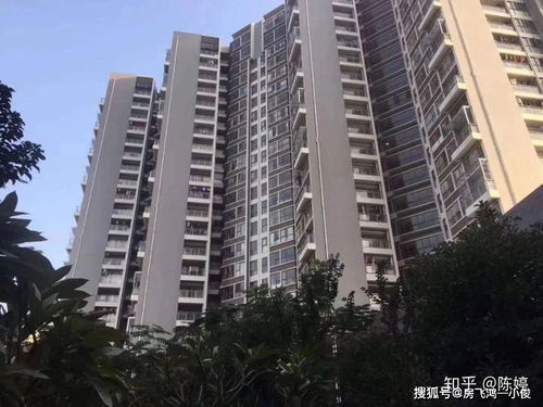 深圳有房产的怎么入户
