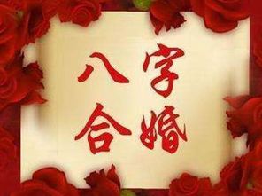 八字合婚：八字合婚是合五行吗（八字合婚是合五行吗还是六亲）