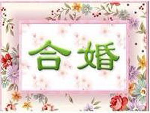 八字合婚：八字全阳女合婚好不好呀（八字全阳女要配什么男）