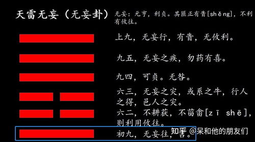 感情运势：无妄卦感情运势详解图片（无妄卦对事业的启示）