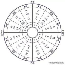 感情运势：太阳双子十宫感情运势如何（太阳双子十宫感情运势如何看）