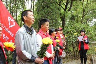 网上献花活动