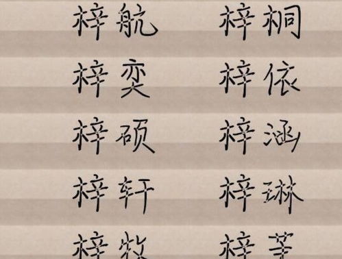 宝宝取名：虎宝宝名梓字怎么取名（宝宝名字叫梓什么好）