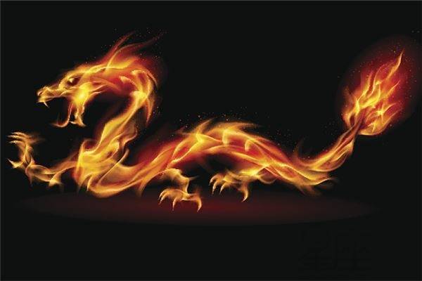 感情运势：2024生肖龙感情运势（2024属龙的运势和财运）