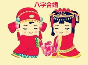 八字合婚：两个人婚姻八字合不合婚（两个人婚姻八字合不合婚）