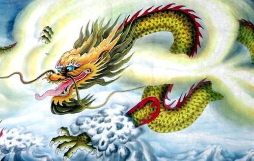 感情运势：龙年属兔的感情运势如何（属龙人兔年运程）