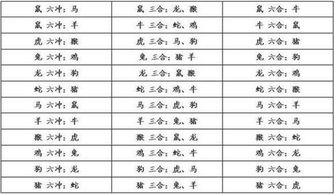 八字合婚：生辰八字猴和马合不合婚（马和猴八字合吗）