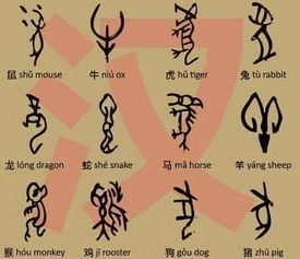 八字合婚：属蛇的八字合不合婚姻呢（属蛇的八字跟什么生肖般配啊）
