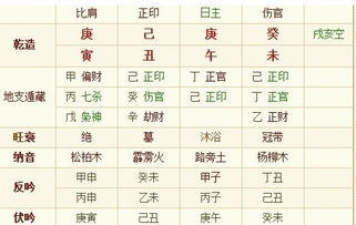 八字合婚：男命八字月支和财星合婚（男命八字月支和财星合婚什么意思）