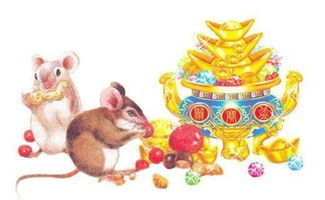 今日运势：属鼠今日年运势（属鼠今日运势(麻将占卜今日运势)