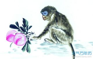 属猴人近期运势详解图片（属猴人最近的运势）