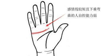 感情运势：手相看感情运势好坏准吗（手相怎么看感情状况）